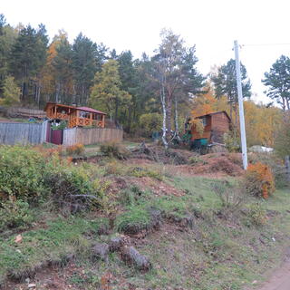 Wooden houses set into the forest.