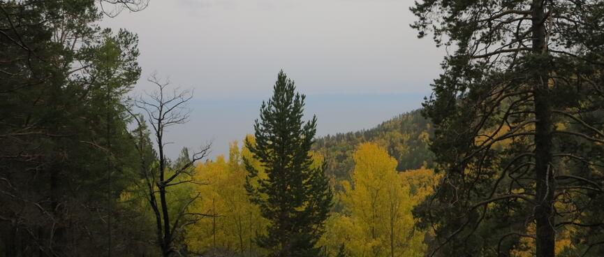 Forested mountains and the lake beyond them.