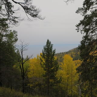 Forested mountains and the lake beyond them.