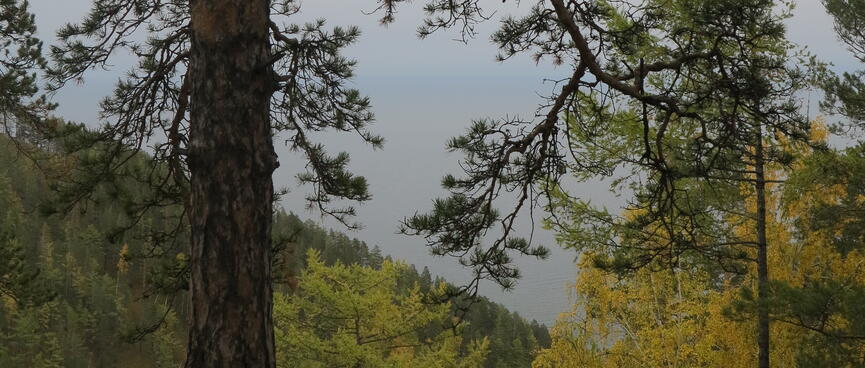 Forested mountains and the lake beyond them.
