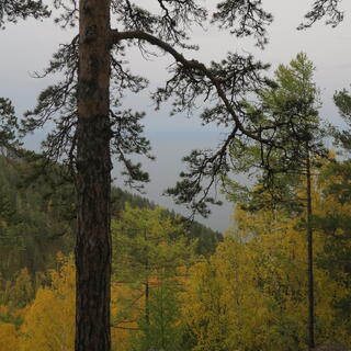 Forested mountains and the lake beyond them.