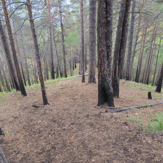 The wide and steep descent through the trees.