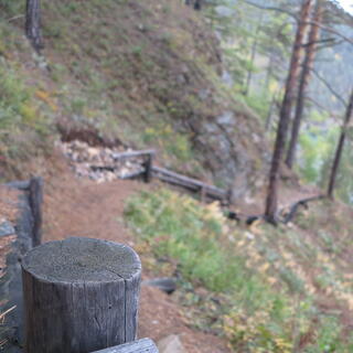 Logs brace short wooden staircases.