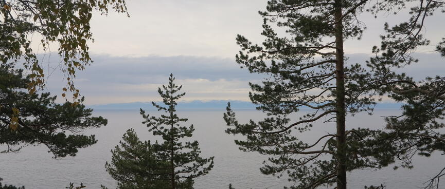 A distant land mass as viewed through the trees.
