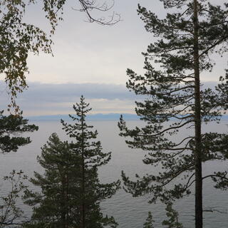 A distant land mass as viewed through the trees.