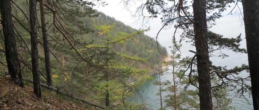 A shrub covered green hill flows down to the lake.