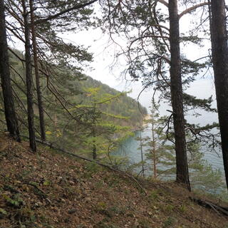 A shrub covered green hill flows down to the lake.