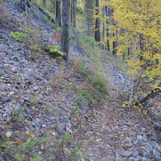 A steep hillside is covered with stones and a few trees.