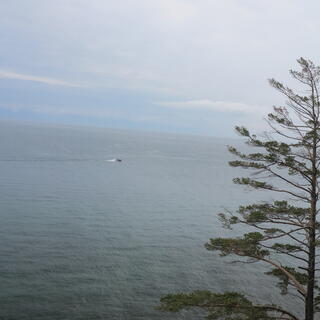A small boat, maybe 100m offshore.