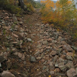 Fist sized rocks cover an exposed portion of the trail.