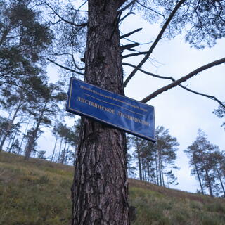 An official blue and white sign is attached to a tree trunk.