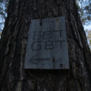 A small wooden sign points the way to GBT.