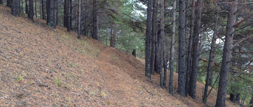 The path cuts across a steep hillside.