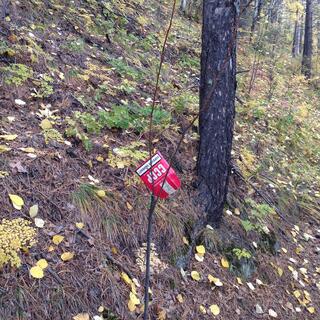 A discarded red packet reads 'CCCP'.