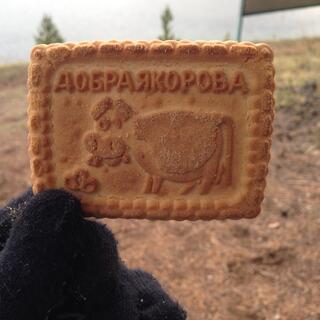 A rectangle biscuit with Cyrllic text and a picture of a cow.