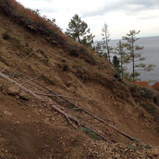 Fallen trees and exposed clay mark a steep wash out.