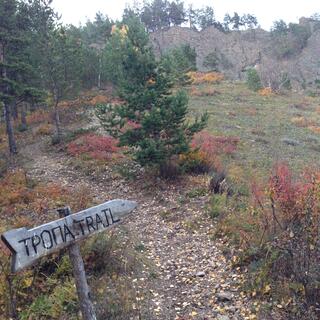 A sign points to the trail.