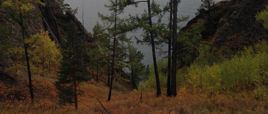 Low shrubs carpet the steep hillside.