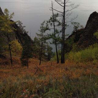 Low shrubs carpet the steep hillside.