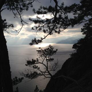 Looking through dark trees to the sunlit lake.