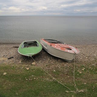 Red and green boats on the beach, tied up side by side.