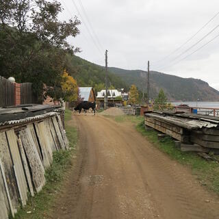The coastal road.