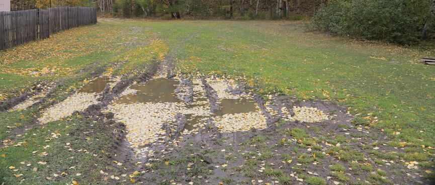 Muddy tyre tracks.