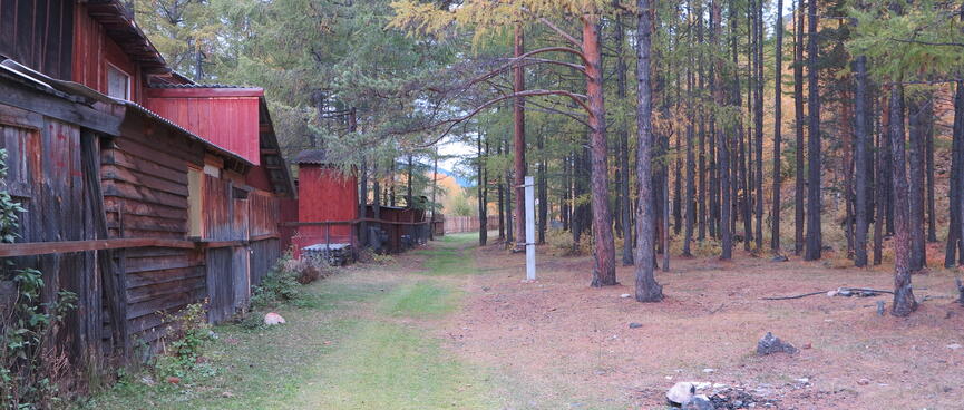 Red roofs and red stained log walls.
