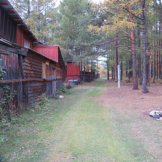 Red roofs and red stained log walls.