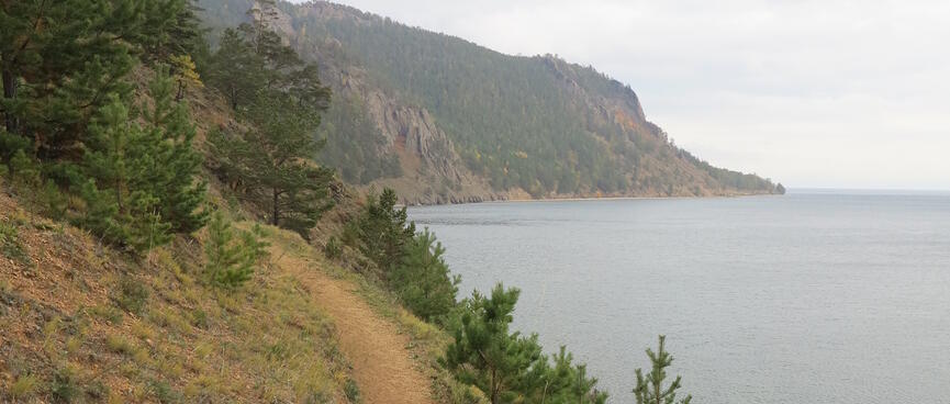 The dirt trail and winds its way into the cove ahead.