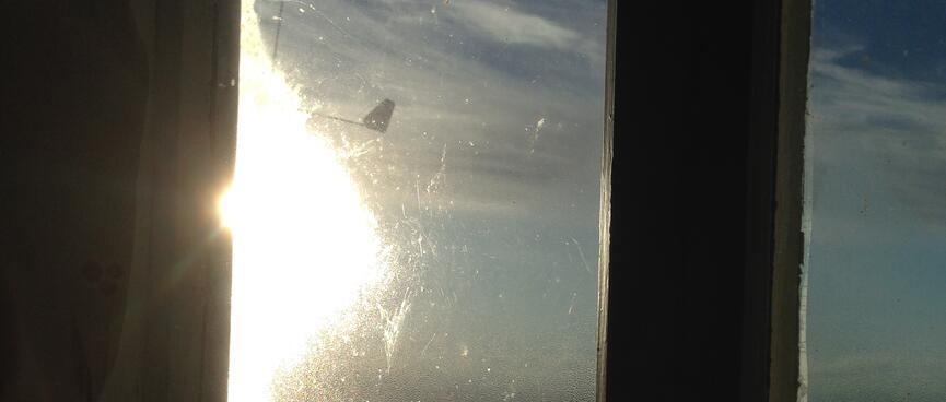 The world defrosts outside.
