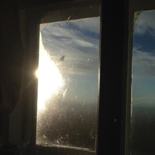 The world defrosts outside.
