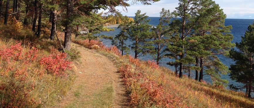Tufts of red mark the way.