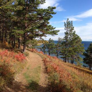 Tufts of red mark the way.