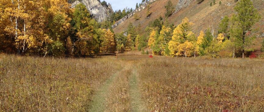 Tidy mown trails.