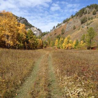 Tidy mown trails.