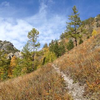 Narrow path to the summit.