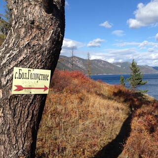 Follow the signs, follow the coast.