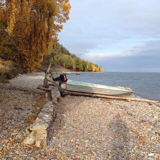 Launching logs.