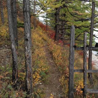 Walker access.