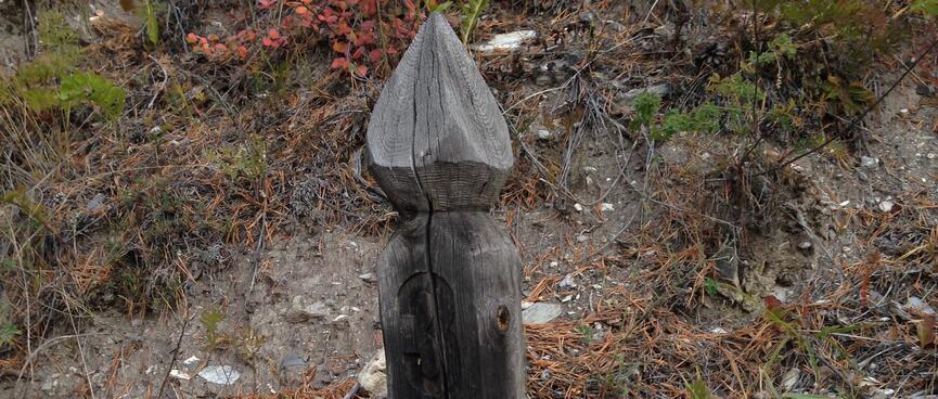 Naked shrine.