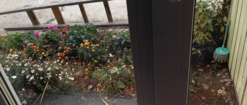 Flower friendly.
