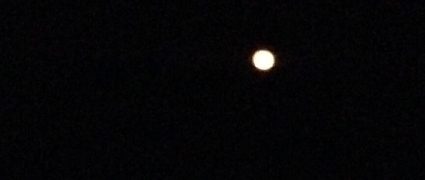 Full moon chaos!