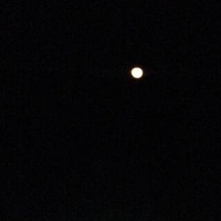 Full moon chaos!