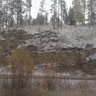 Taiga.