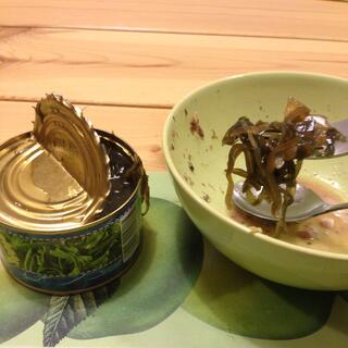 Dinner of swamp monsters.