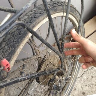 The Troll was indeed muddy.
