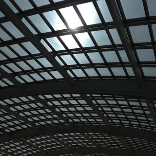 A large curved glass ceiling is supported by metal framing.