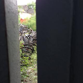 A slit in a gate reveals a pile of old bicycles.