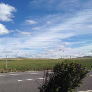 Fields of wind turbines spin in the strong breeze.